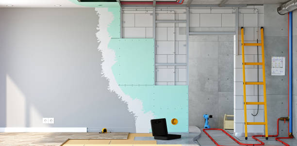 Best Black Mold Removal  in Fort Calhoun, NE